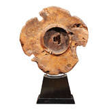 Massive Eroded Teak Wheel Sculpture
